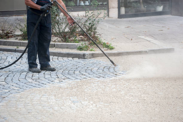 Best Sidewalk and Walkway Cleaning  in Westlake Village, CA